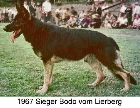 Bodo vom Lierberg